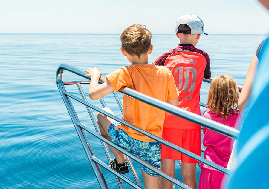 Benalmadena: Dolphin Watching Boat Tour - How the $22 price holds up