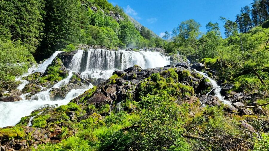 Bergen: Cruise to beautiful Rosendal by the Hardangerfjord - What the fjord ride feels like