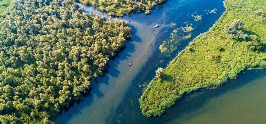 Biesbosch: Boat Cruise through National Park - Seeing Biesbosch from the water