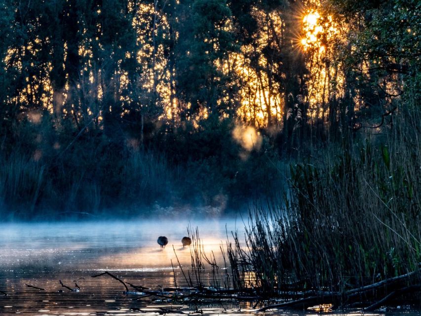 Biesbosch: Boat Cruise through National Park - Practical tips for a smoother departure