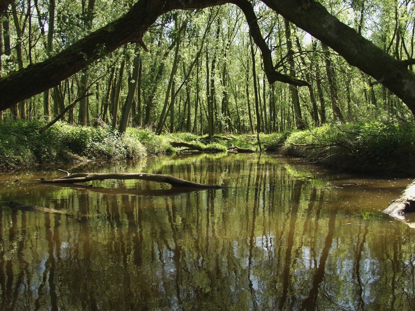 Biesbosch: Boat Cruise through National Park - A closer look at the De Zilvermeeuw boat
