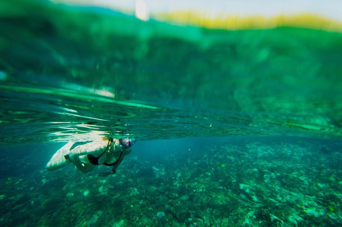 Big Island: Captain Cook Snorkel On A Power Catamaran With Lunch - Why Kealakekua Bay deserves your morning