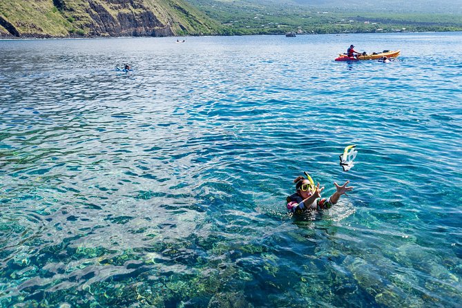 Big Island: Captain Cook Snorkel On A Power Catamaran With Lunch - From Honokohau Harbor to the open Kona coast