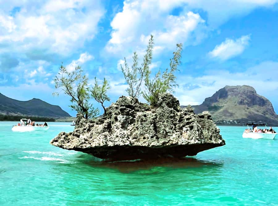 Black River: Swim with Dolphin Speed Boat Tour with lunch - Île aux Bénitiers: lunch, drinks, and downtime