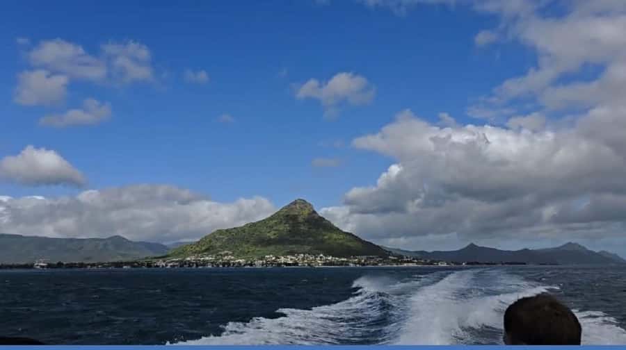 Black River: Swim with Dolphin Speed Boat Tour with lunch - Who will enjoy this most?