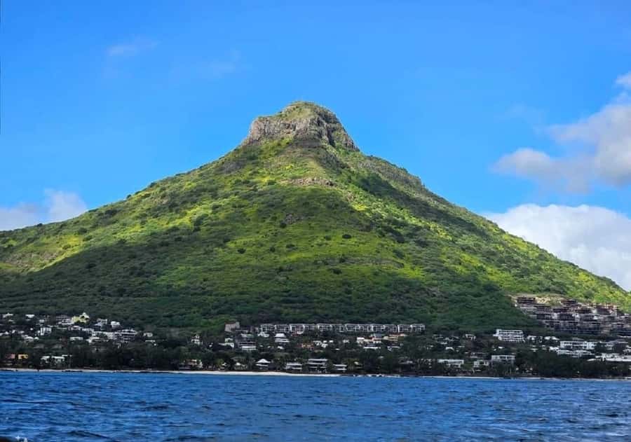 Black River: Swim with Dolphin Speed Boat Tour with lunch - Booking, cancellations, and meeting details