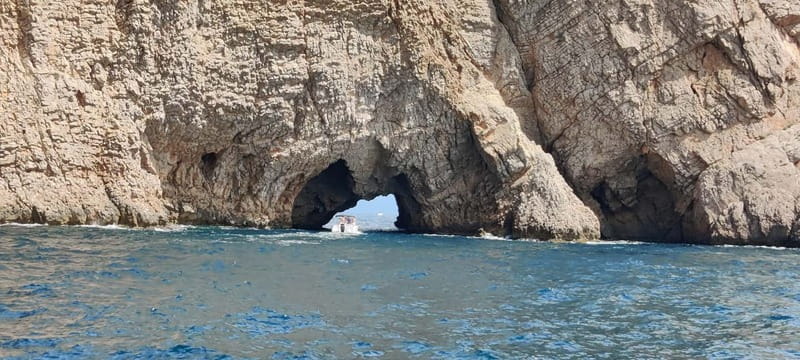 Boat trip to the Medes Islands, caves and stop for swimming - Underwater windows and marine life