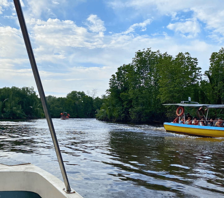 Bongawan River Cruise: Proboscis Monkey & Fireflies Mangrove - Tea, dinner, and a taste of local hospitality