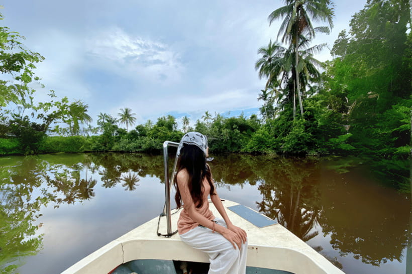 Bongawan River Cruise: Proboscis Monkey & Fireflies Mangrove - Fireflies along the riverbanks