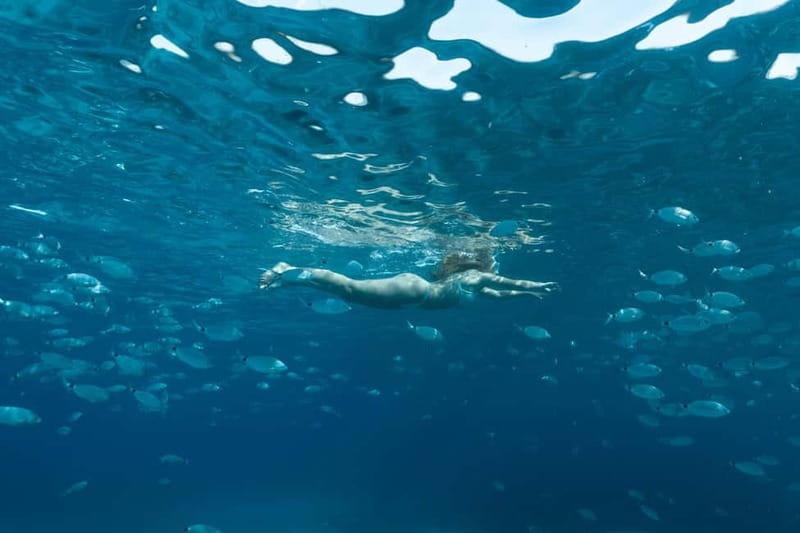 Bonifacio: Catamaran trip with snorkeling at the Lavezzi Islands - What you will actually see at Lavezzi and Cavallo