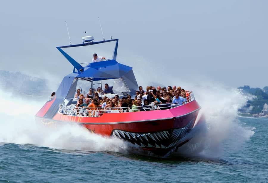Boston: City Cruises Harbor Codzilla High Speed Thrill Boat - Codzilla at a glance