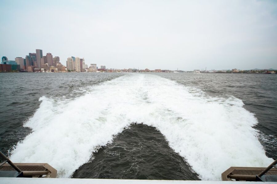 Boston: City Cruises Whale Watching Cruise - Stellwagen Bank and the search for whales