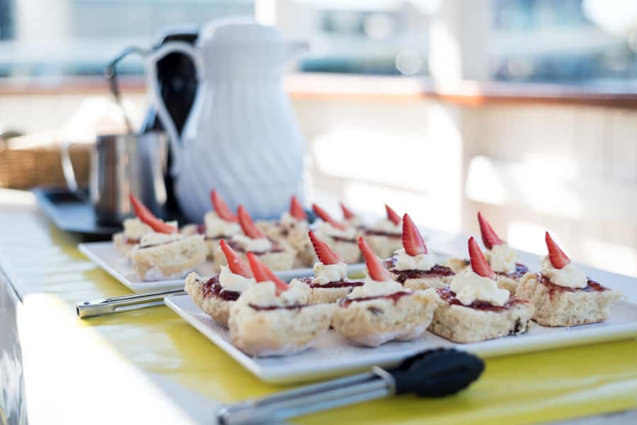 Brisbane: Morning Sightseeing Cruise: 10:30am-12pm (90min) - Starting at South Bank’s Cultural Centre Public Pontoon