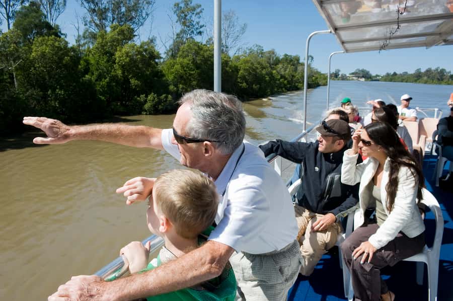 Brisbane River Cruise and Koala Sanctuary Visit - Kangaroo Feeding in the Five-Acre Reserve