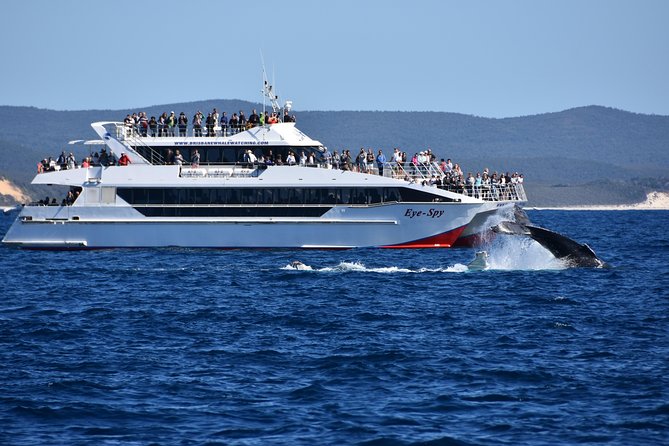 Brisbane Whale Watching Cruise from Redcliffe or Sunshine Coast - Is the cruise suitable for families?