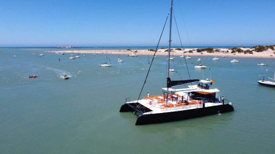 Cádiz: Bay of Cádiz Catamaran Tour with Host - Finding the Port at Plaza Sevilla