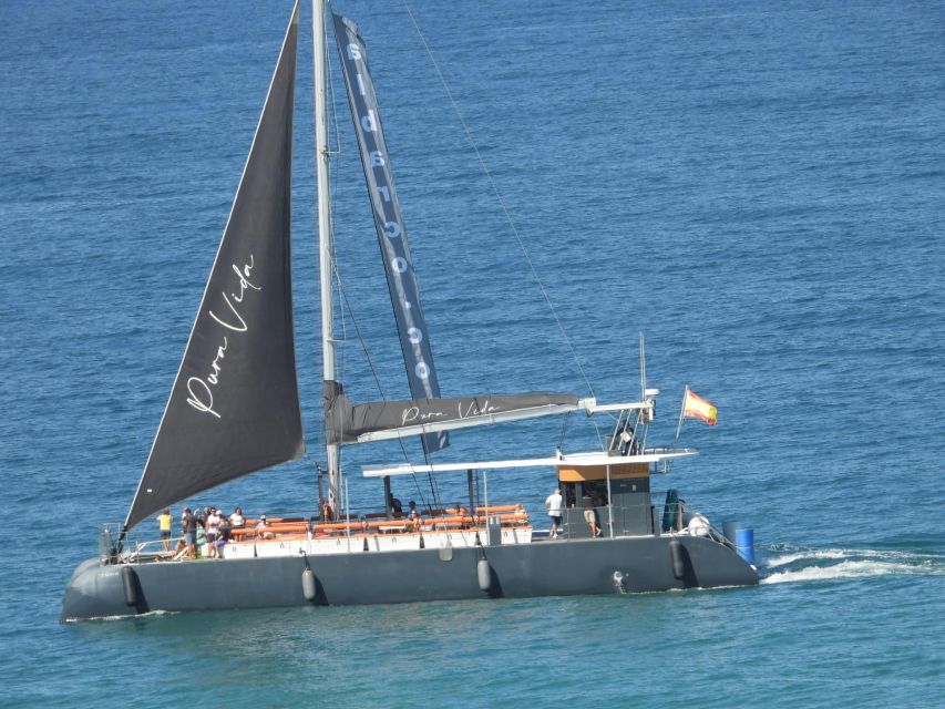 Cádiz: Bay of Cádiz Catamaran Tour with Host - The Southern Route: Forts, Shipyards, and a Famous Bridge
