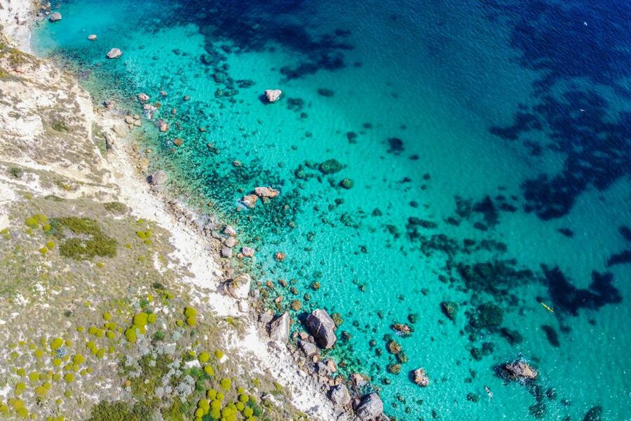 Cagliari: Luxury Motorboat Tour with 3 Swim Stops & Wine - How much value do you get for $71?