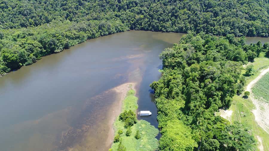 Cairns: Daintree Rainforest Wildlife Experience Cruise - Cruising into the Daintree’s crocodile country