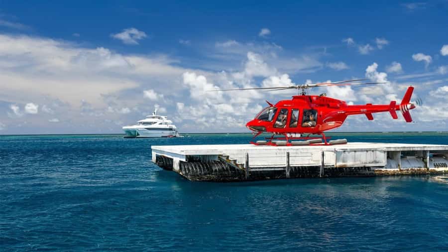 Cairns: Great Barrier Reef Cruise & Scenic Helicopter Flight - Saxon Reef: your first chance to meet the coral