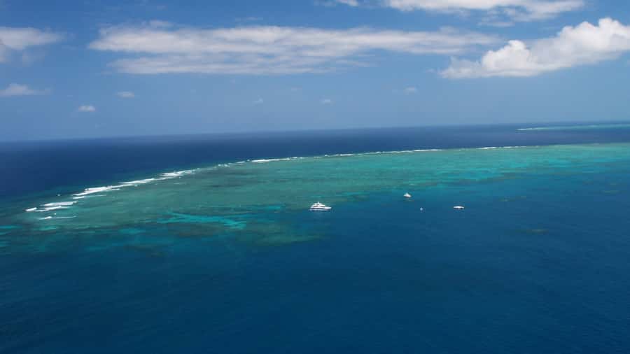 Cairns: Great Barrier Reef Cruise & Scenic Helicopter Flight - Hastings Reef and the helicopter flight