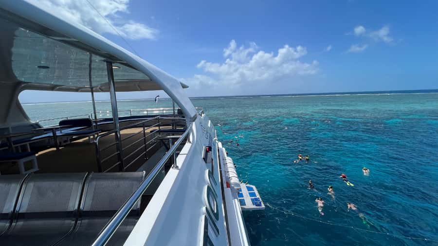 Cairns: Great Barrier Reef Cruise & Scenic Helicopter Flight - The main strengths and the honest drawbacks