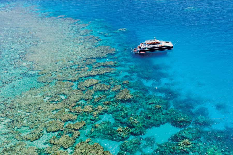 Cairns: Great Barrier Reef Premium Diving Full Day Tour - Key points to know before booking