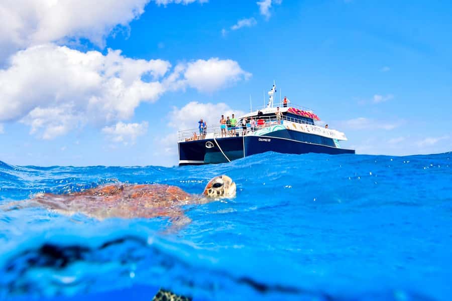 Cairns: Great Barrier Reef Premium Diving Full Day Tour - Small details that can improve your day