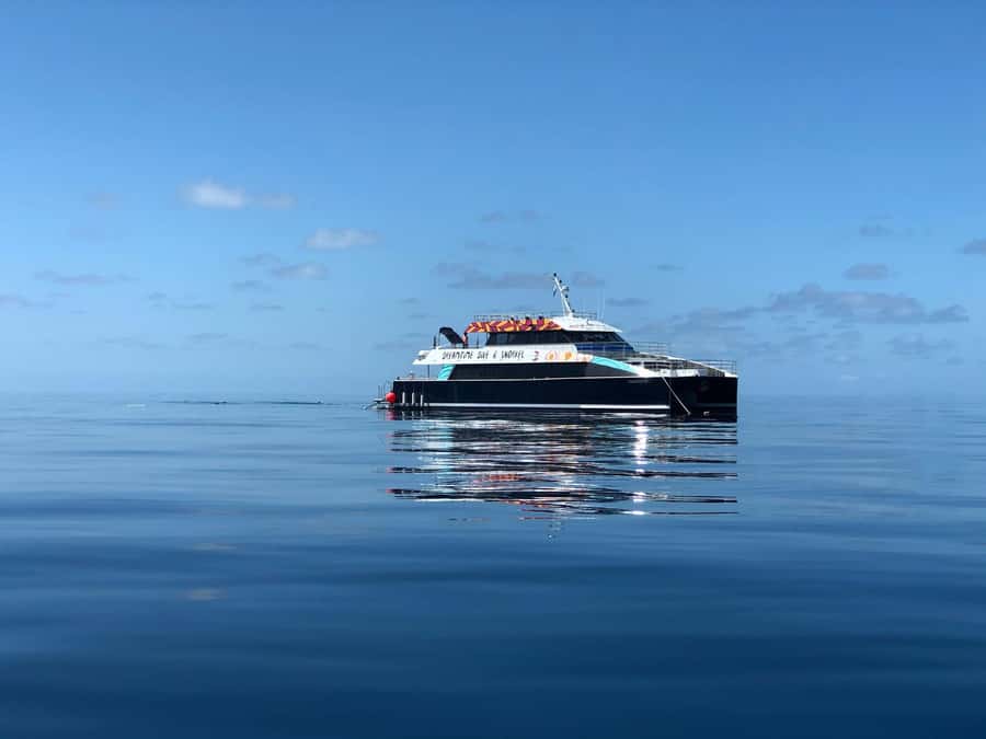 Cairns: Great Barrier Reef Premium Diving Full Day Tour - Setting out from Cairns Marlin Marina