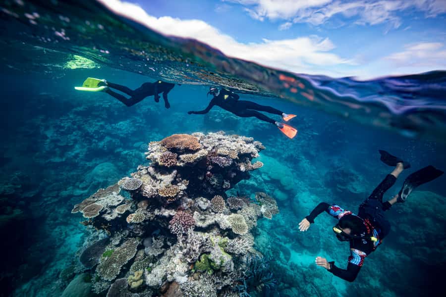 Cairns: Great Barrier Reef Premium Diving Full Day Tour - Lunch, tea, and the practical rhythm of the day