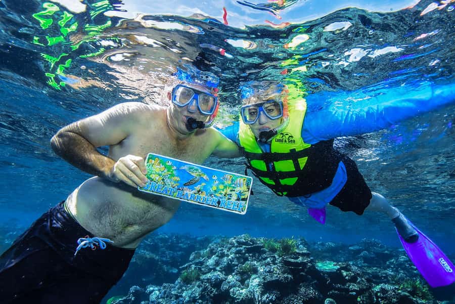 Cairns: Great Barrier Reef Premium Diving Full Day Tour - What the $127 price includes