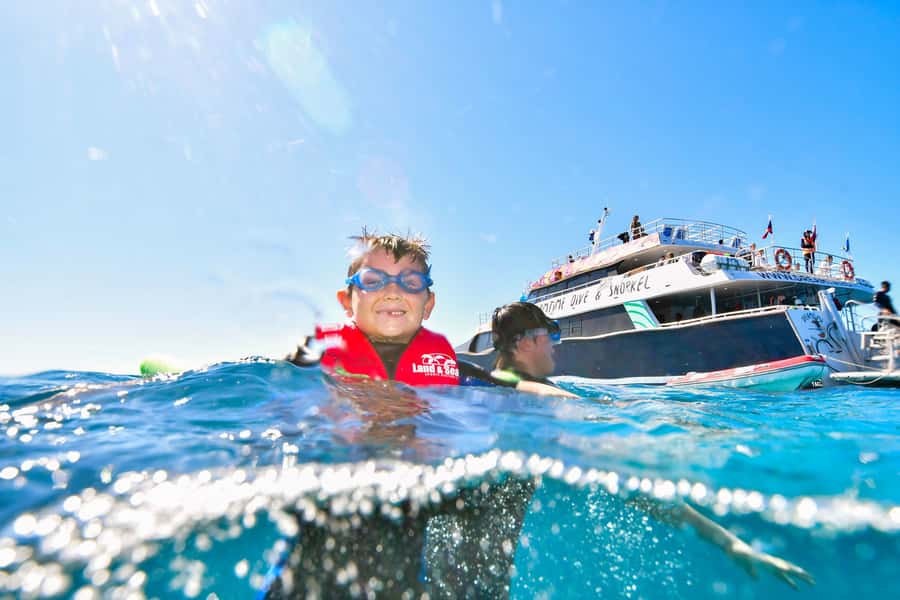 Cairns: Great Barrier Reef Premium Diving Full Day Tour - Who will enjoy this Cairns reef day