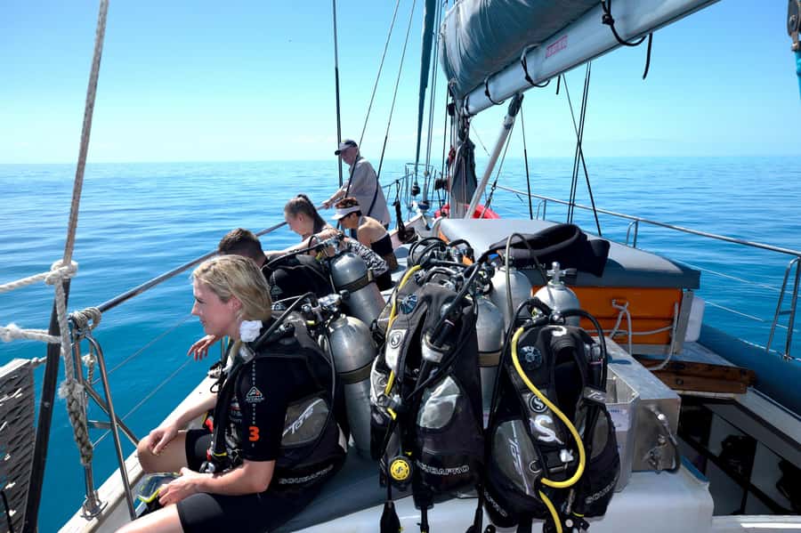 Cairns: Green Island & Great Barrier Reef Sailing Tour - Should you book the Green Island and Great Barrier Reef sailing tour?
