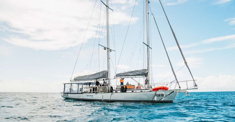 Cairns: Green Island & Great Barrier Reef Sailing Tour - The return sail is the memorable finish