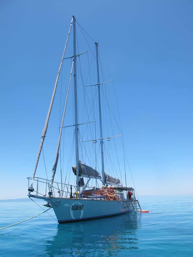 Cairns: Green Island & Great Barrier Reef Sailing Tour - Useful booking details for your Cairns day