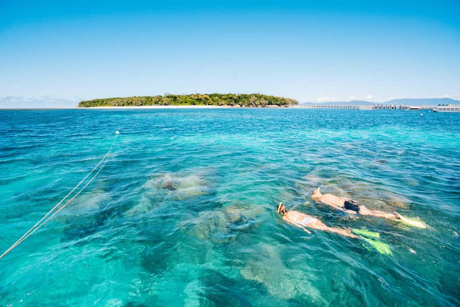 Cairns: Green Island Snorkelling or Glass Bottom Boat - Key points to know before you go