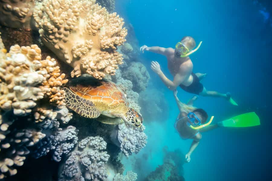 Cairns: Green Island Snorkelling or Glass Bottom Boat - Why Green Island works for an easy reef day