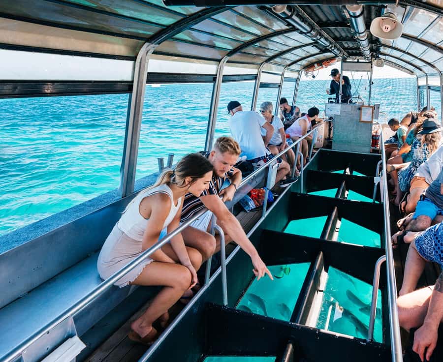 Cairns: Green Island Snorkelling or Glass Bottom Boat - Choosing between snorkeling and the glass-bottom boat