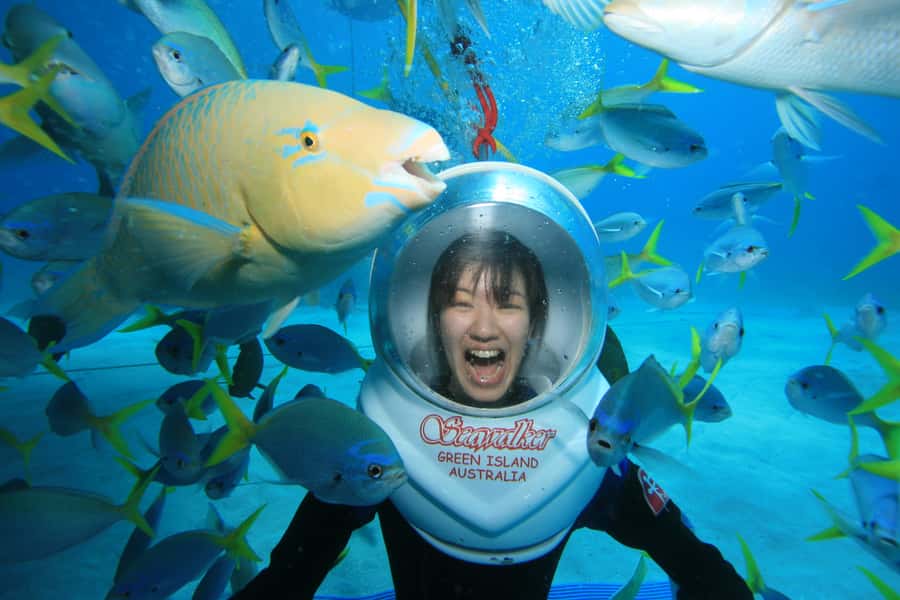 Cairns: Green Island Snorkelling or Glass Bottom Boat - How to spend your time on the island