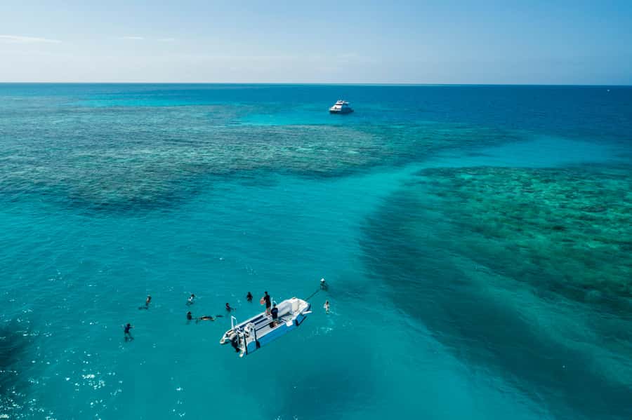 Cairns: Outer and Coral Cay Snorkel and Dive Cruise - Six hours where the Great Barrier Reef gets interesting