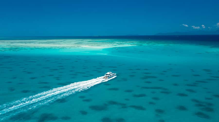 Cairns: Outer and Coral Cay Snorkel and Dive Cruise - The food is better than standard boat fare