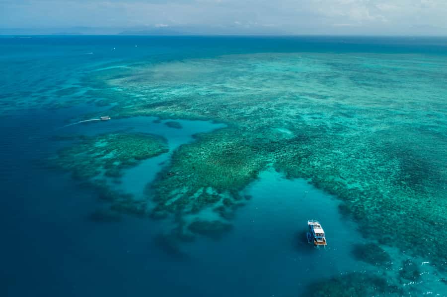 Cairns: Outer and Coral Cay Snorkel and Dive Cruise - Who will get the most from this reef trip
