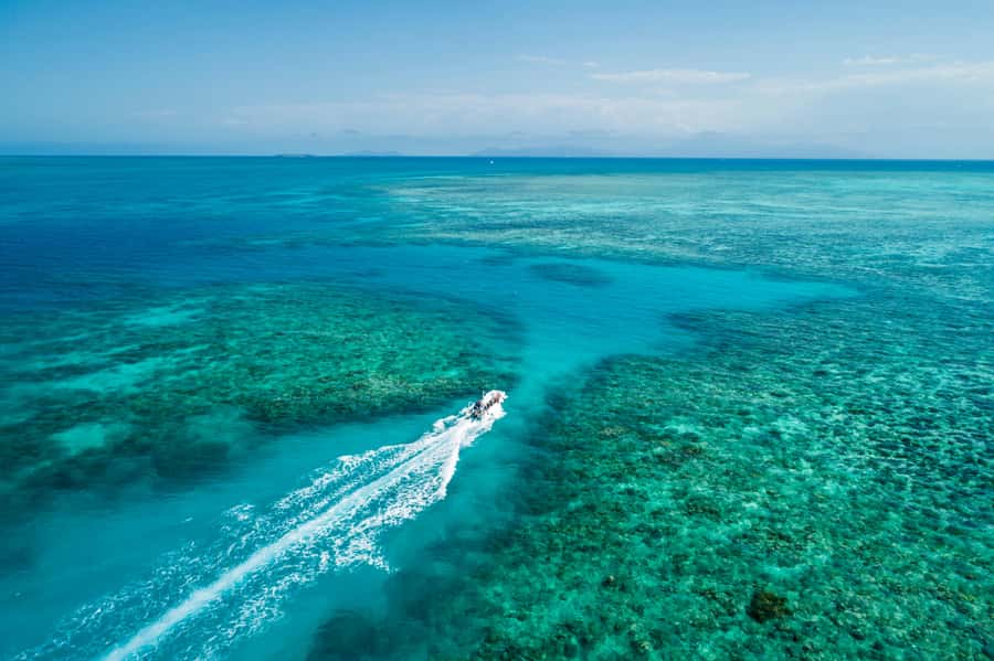Cairns: Outer and Coral Cay Snorkel and Dive Cruise - Optional scuba sessions with careful instruction