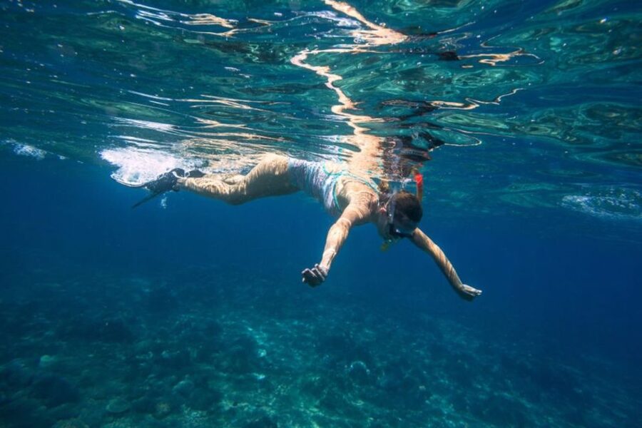 Caleta de Fuste: Catamaran Sailing Experience - Key points at a glance