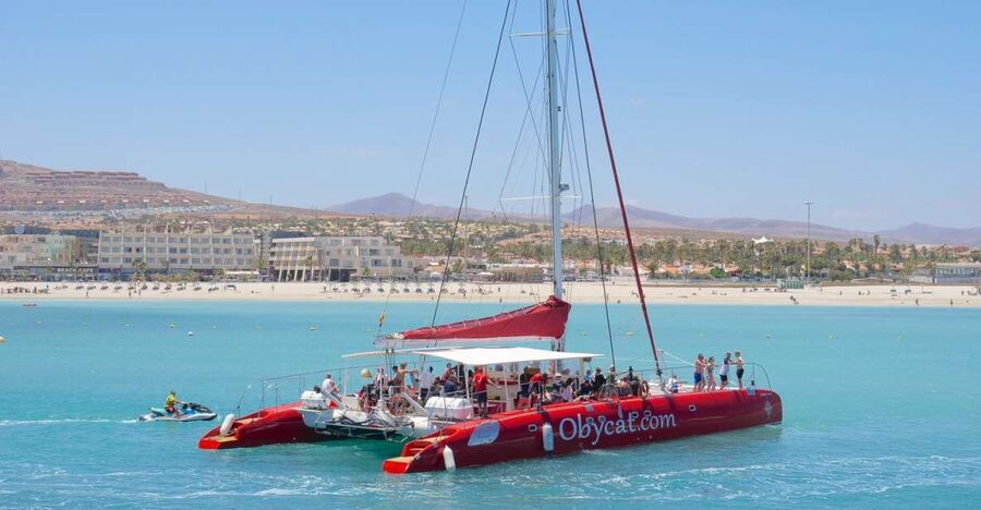 Caleta de Fuste: Catamaran Sailing Experience - Time to swim and snorkel at Pozo Negro Bay