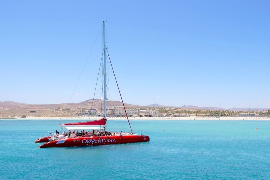 Caleta de Fuste: Catamaran Sailing Experience - Should you book the Obycat?