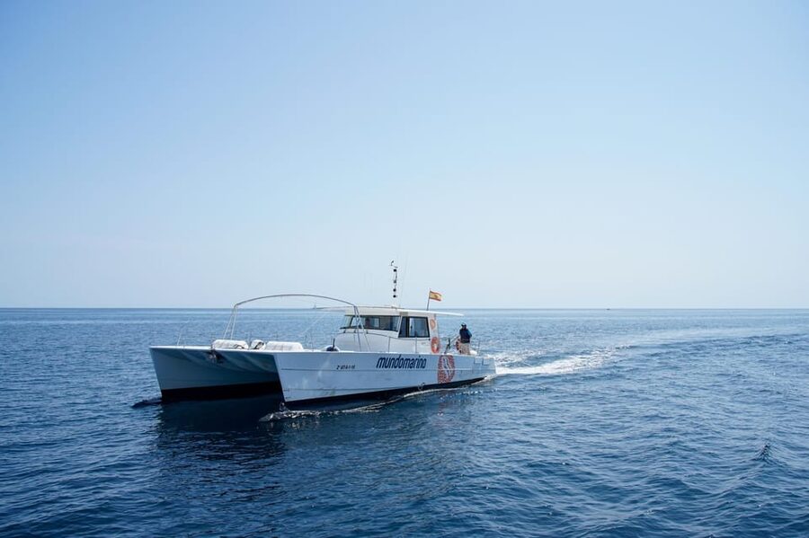 Calpe: Catamaran Tour with Optional Swim Stop - The longer option and its swim stop