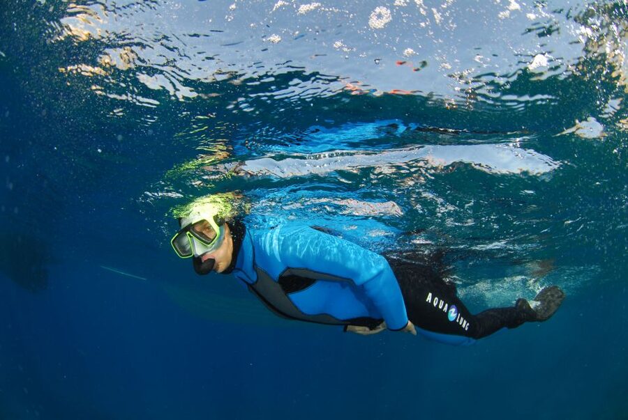 Calvi: Pointe de la Revellata Snorkeling Boat Tour - Who Should Book the Pointe de la Revellata Trip?