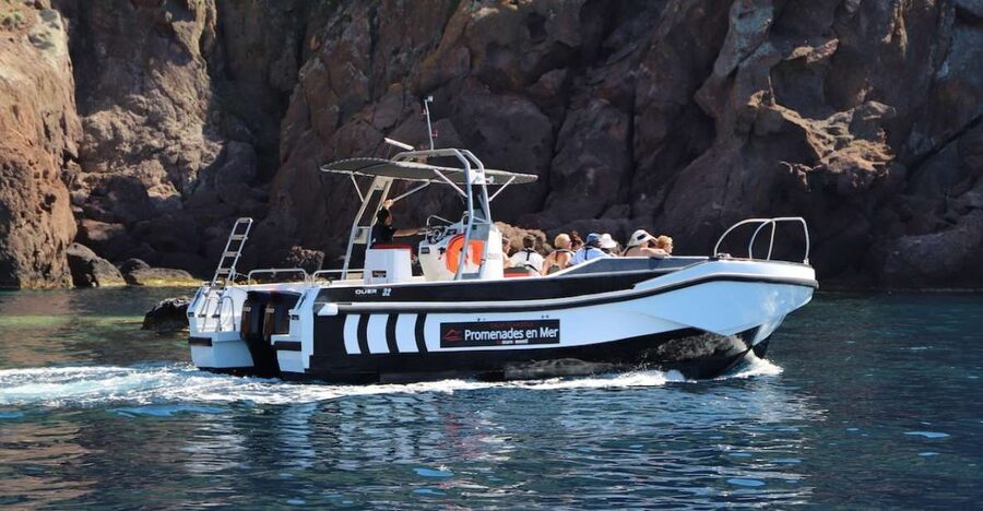 Calvi to Scandola: 4-Hour Boat Tour - Why Scandola deserves a boat trip from Calvi