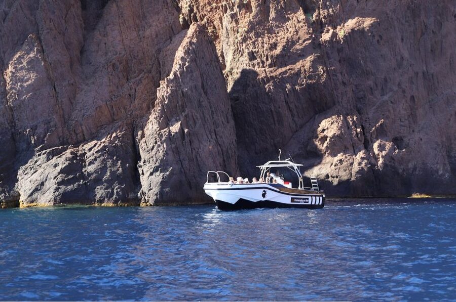 Calvi to Scandola: 4-Hour Boat Tour - The swimming stop and blue water